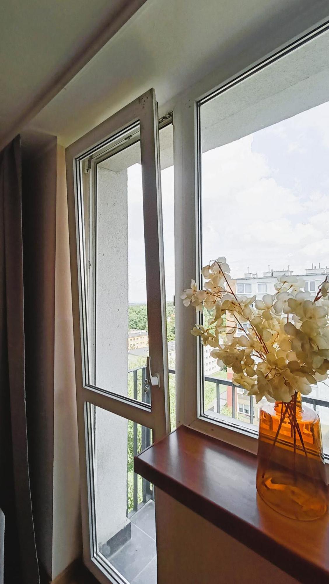 Drzewna Apartamenty - Wladyslawa زيلونا غورا المظهر الخارجي الصورة