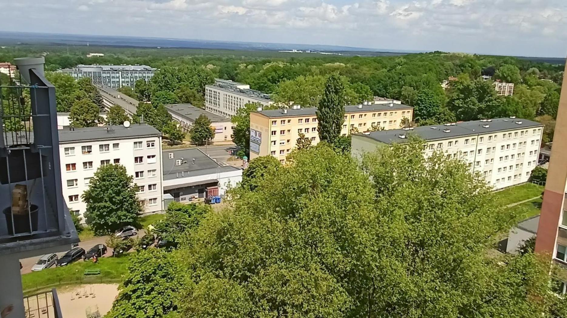 Drzewna Apartamenty - Wladyslawa زيلونا غورا المظهر الخارجي الصورة