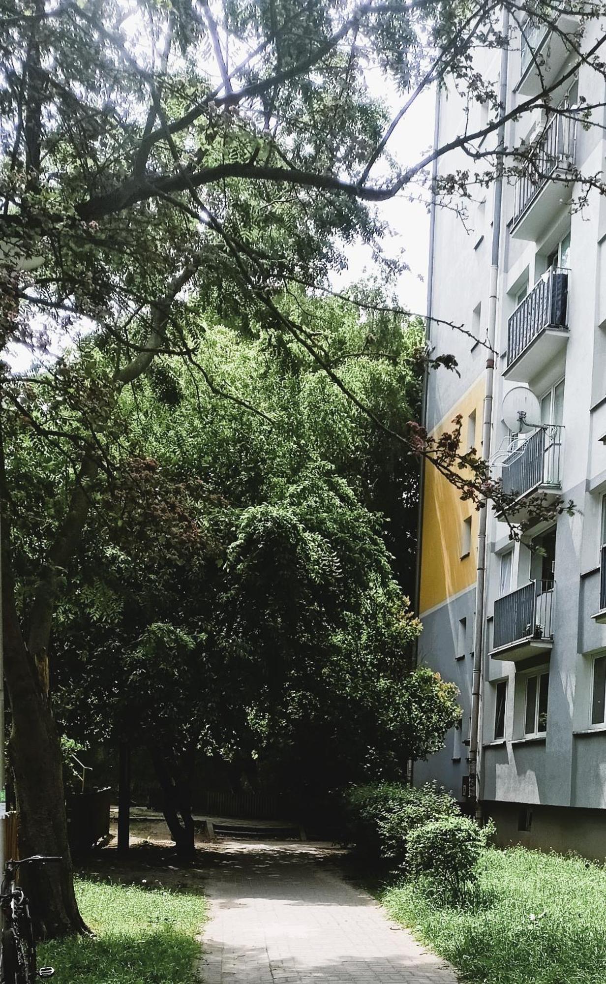 Drzewna Apartamenty - Wladyslawa زيلونا غورا المظهر الخارجي الصورة
