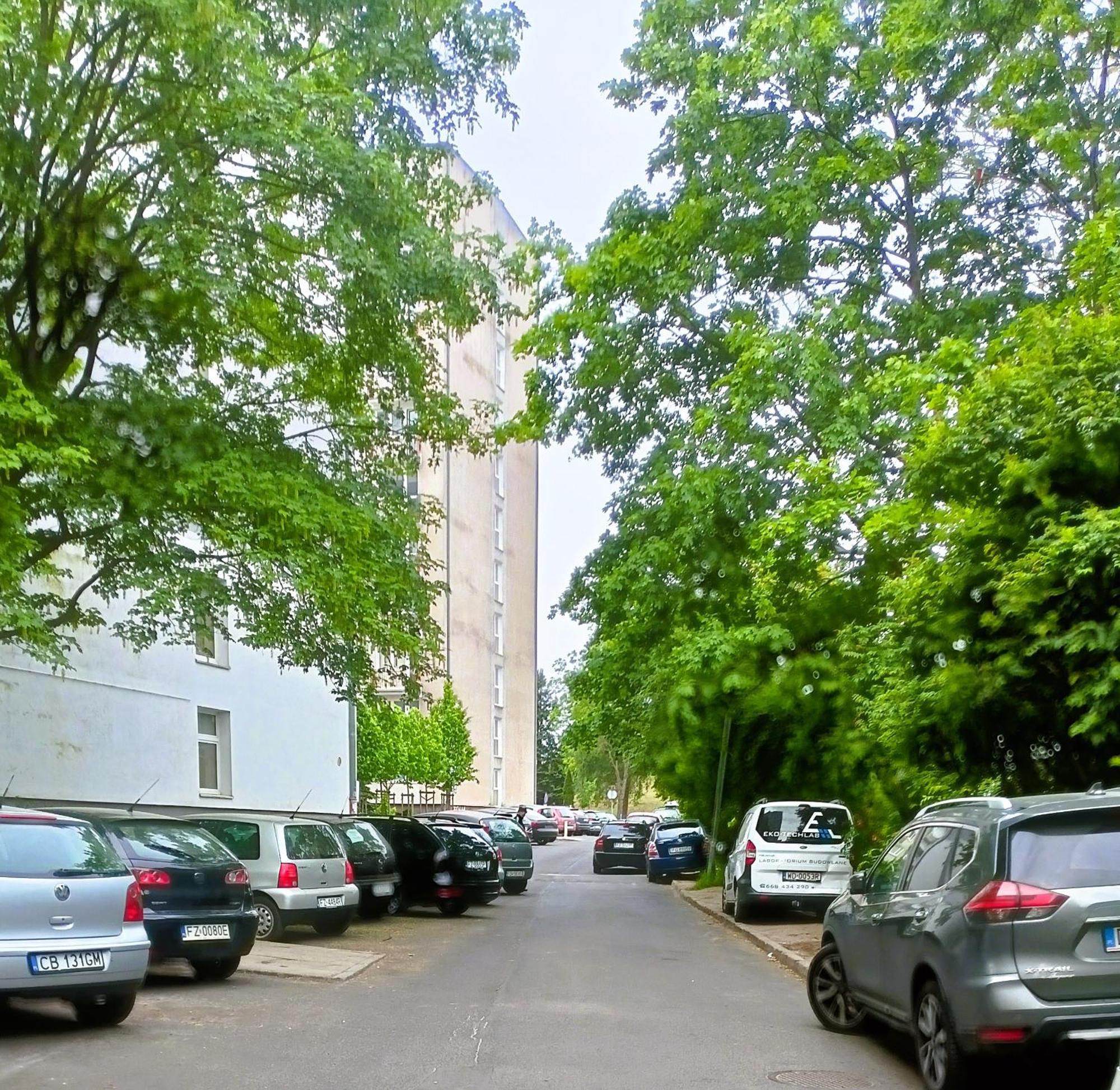 Drzewna Apartamenty - Wladyslawa زيلونا غورا المظهر الخارجي الصورة